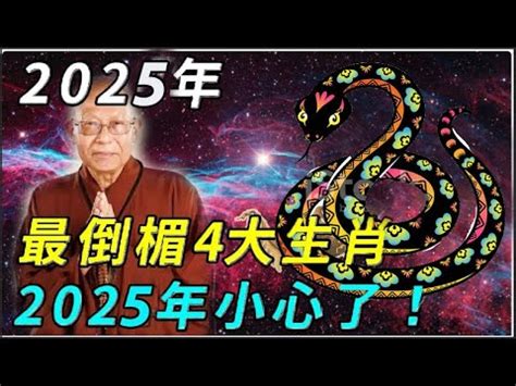 25年屬什麼